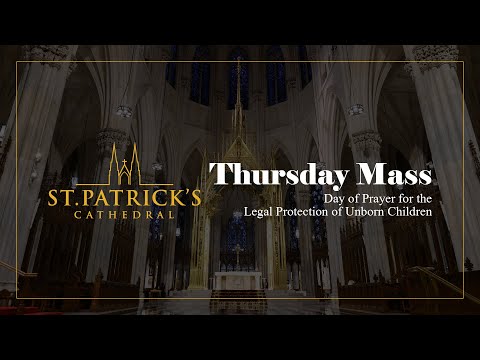 Thursday Mass - January 22nd 2026