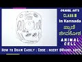 How to Draw Animal Cell Easily Step by Step in Kannada | Animal cell: A simple method of drawing