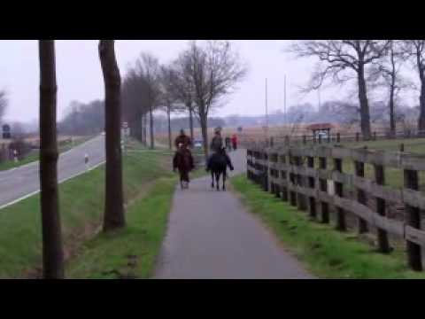 März12 Gangpferde Vierhaus.WMV