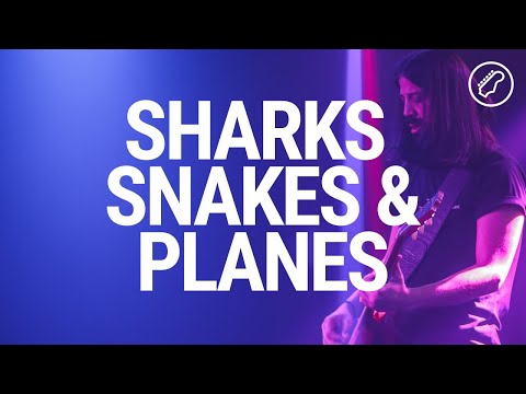 Sharks, Snakes and Planes - Full Performance / @Balkanrock Sessions