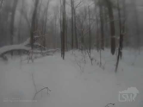 12-17-2020 Plainfield, NH - Winter Storm