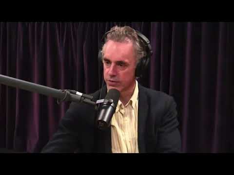 Joe Rogan - Jordan Peterson on Sorting Your Life