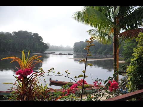 Crazy Modo - Switi Sranan