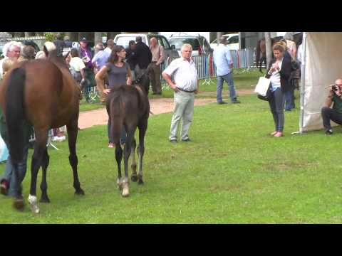 Lot 68 - F14 - KHALKEVI/RAZIA   Decize 2014