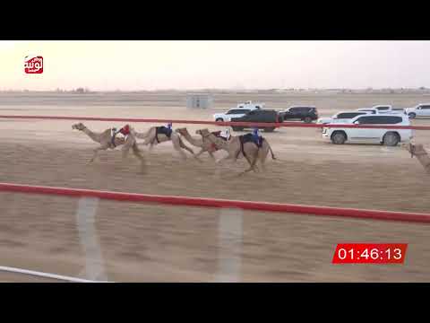 ش 7 (كحال) لـ حمدان بن ناصر النعيمي 3:06:19 ، شارة الصندوق 2026/08/10 فطامين الوثبة