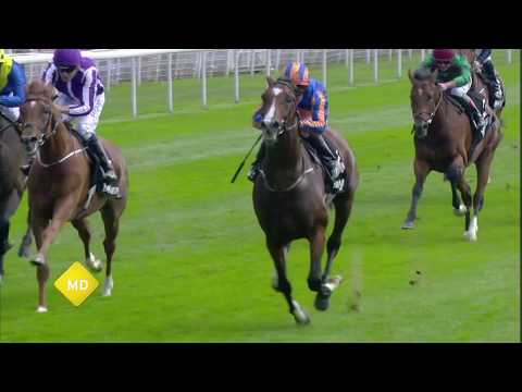 BCS Epsom Coronation Cup and Oaks 2017