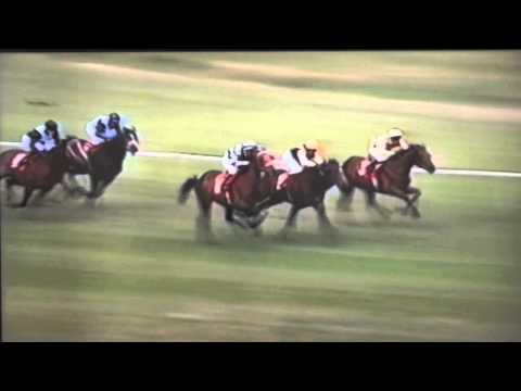 Nagroda Próbna - 22.06.2003 - Dżangara  (Professional - Dorissa)