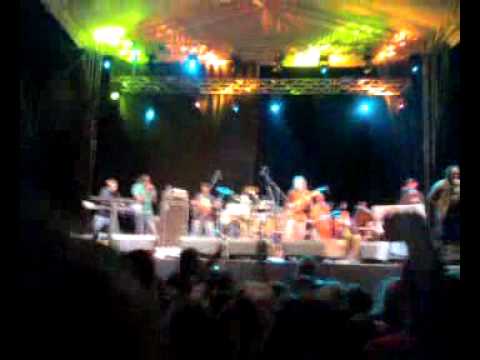 ward21 and united flavour band live