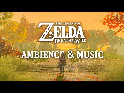 🍂 Akkala Rainy Sunset 🍂 Zelda Ambience & Optional Music