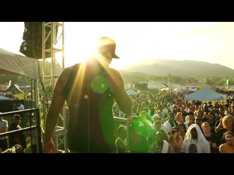 Dizaster vs Everybody Knows