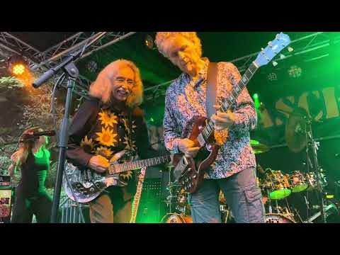 Bröselmaschine live - Children of the Revolution @ Freilichtbühne Mülheim 21/08/2024