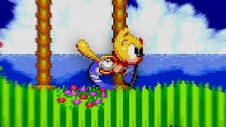 Ray the Flying Squirrel in Sonic 2!