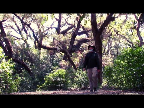 Long Key Natural Area & Nature Center - davie, florida  BROWARD COUNTY PARKS