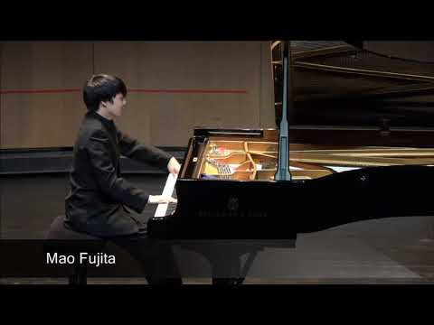 Mao Fujita | quarterfinal 2017