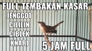 Download lagu SRDC GACOR ISIAN CILILIN,JENGGOT,LOVEBIRD,CIBLEK,KENARI SANGAT BAGUS BUAT TROTOL mp3