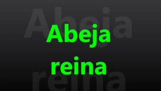 Abeja Reina - Rata Blanca