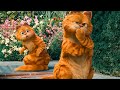 Royal Copycat Scene GARFIELD 2 2006 Movie Clip