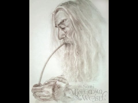 LOTRO: Update 29 Wildwood patch notes review