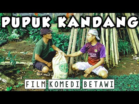 pupuk-kandang