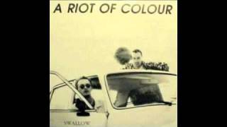 A Riot Of Colour - House