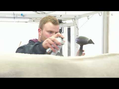 Nachrichten 09.04.22