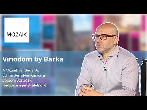 Mozaik–Vinodom by Bárka– vendég: Dr. Schneider István Gábor