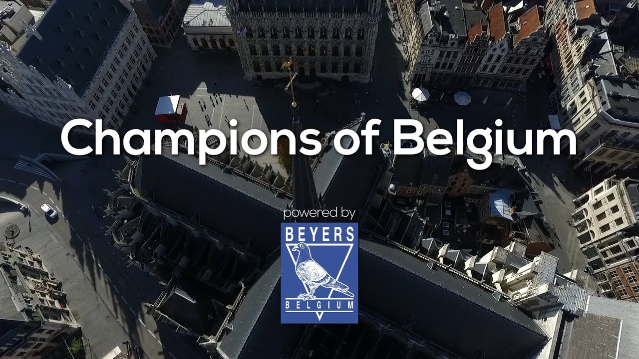 Champions of Belgium - Partea I - 2017
