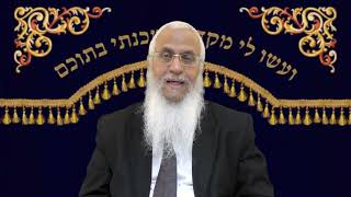 פרשת שלח לך - הבטחון וההשתדלות (הרב יורם סרי) - התמונה מוצגת ישירות מתוך אתר האינטרנט יוטיוב. זכויות היוצרים בתמונה שייכות ליוצרה. קישור קרדיט למקור התוכן נמצא בתוך דף הסרטון