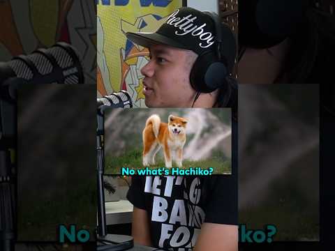 SAD HACHIKO DOG STORY 😢 #sadstory #doglover #dog #shorts