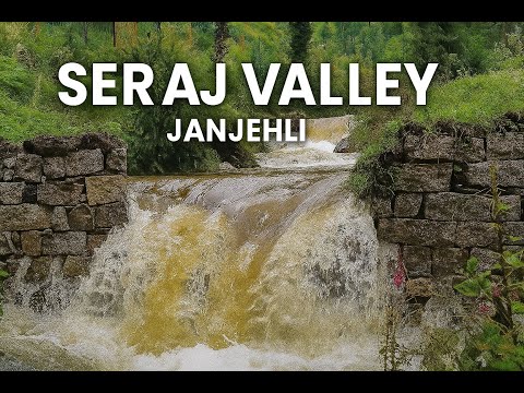Janjehli - Seraj Valley - Travel Video - Nature