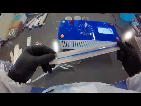 Engineer-it Kit and DNA Playground: Day 2