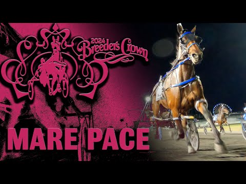 2024 Breeders Crown | Twin B Joe Fresh | Mare Pace