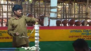 Snake Venom Extraction in India Video
