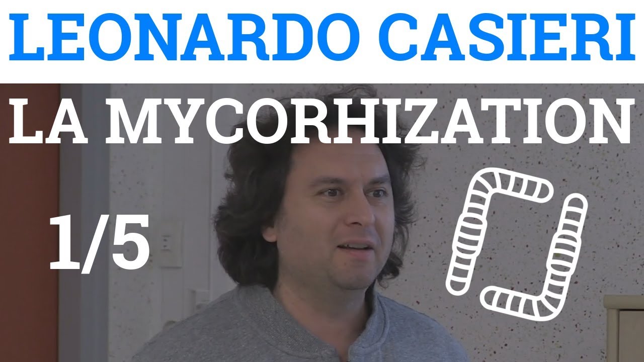 1/5 - Léonardo CASIERI - La Mycorhization - Introduction