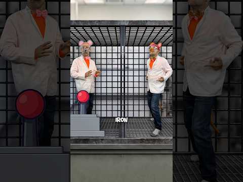 Rats in a cage
