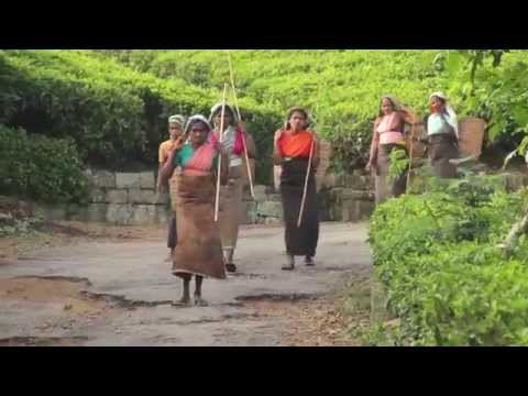 Train 155 Youth to Teach 2325 Sri Lankan Children