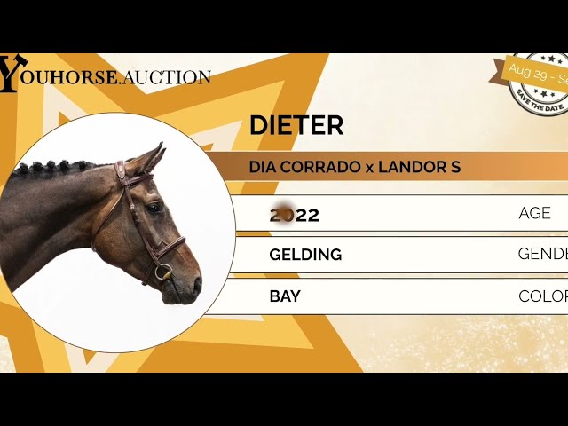 Dieter homevideo