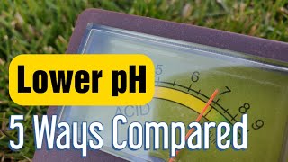 Lower Soil pH In The Lawn: 5 Ways To Get It More Acidic