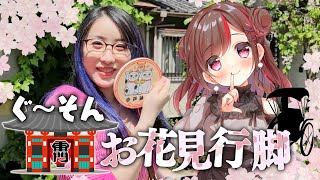 [Vtub] kson組長 & ぐーたら 淺草賞花剪輯Vlog