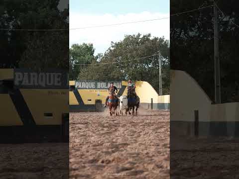 (Vaquejada do Parque Bola Boi em São João do Paraíso - MA.)