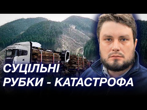Чорні лісоруби, сірі схеми, мовчання влади: експерт про наслідки вирубки лісів в Україні