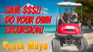 What Really Happens When You Leave the Cruise Ship