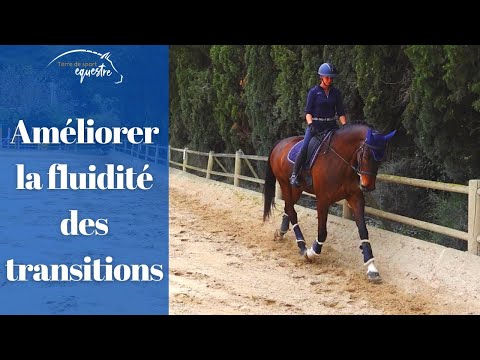Réussir des transitions fluides