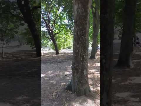 フランス パリ シテ大学ハウス ベルギー 01.JPG