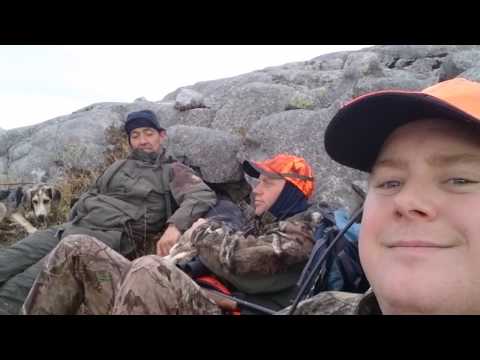 fitjar jakt sesong 16 17