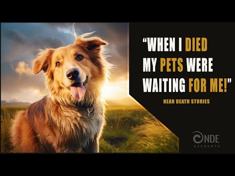 Narrated NDE Pet Stories | Near Death Experience Compilation