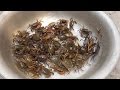 Vietnam Street Food Cooking 100 Crabs For 4 People Family Dinner Meal In Vietnam