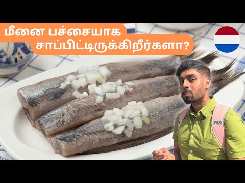 Comer arenque cru na Holanda 🐟🇳🇱 #shorts