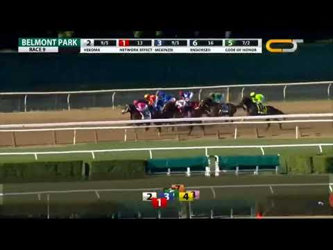 A determined Vekoma wins the Runhappy Met-Mile at Belmont Park.