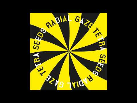PREMIERE: Radial Gaze - Black Salto [Thisbe Recordings]